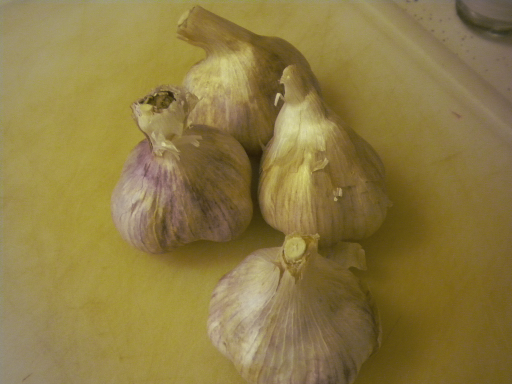 garlic bulbs